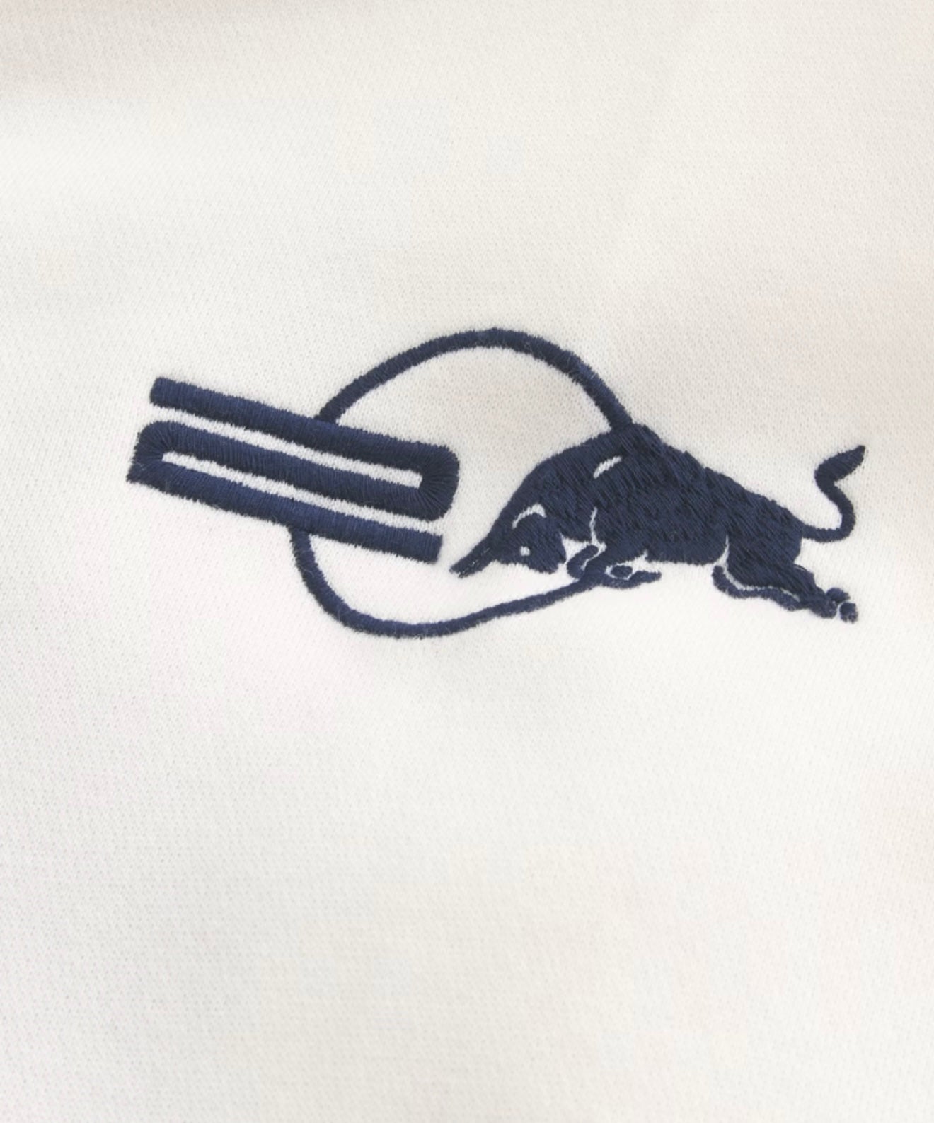Red Bull Racing Hoodie