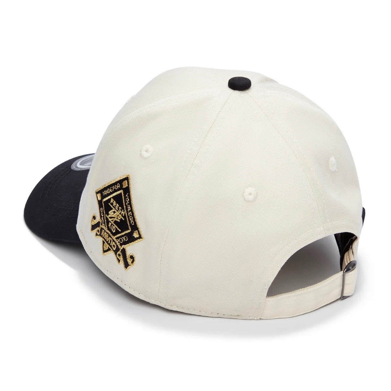 Williams Racing X Fresh Ego W Cap